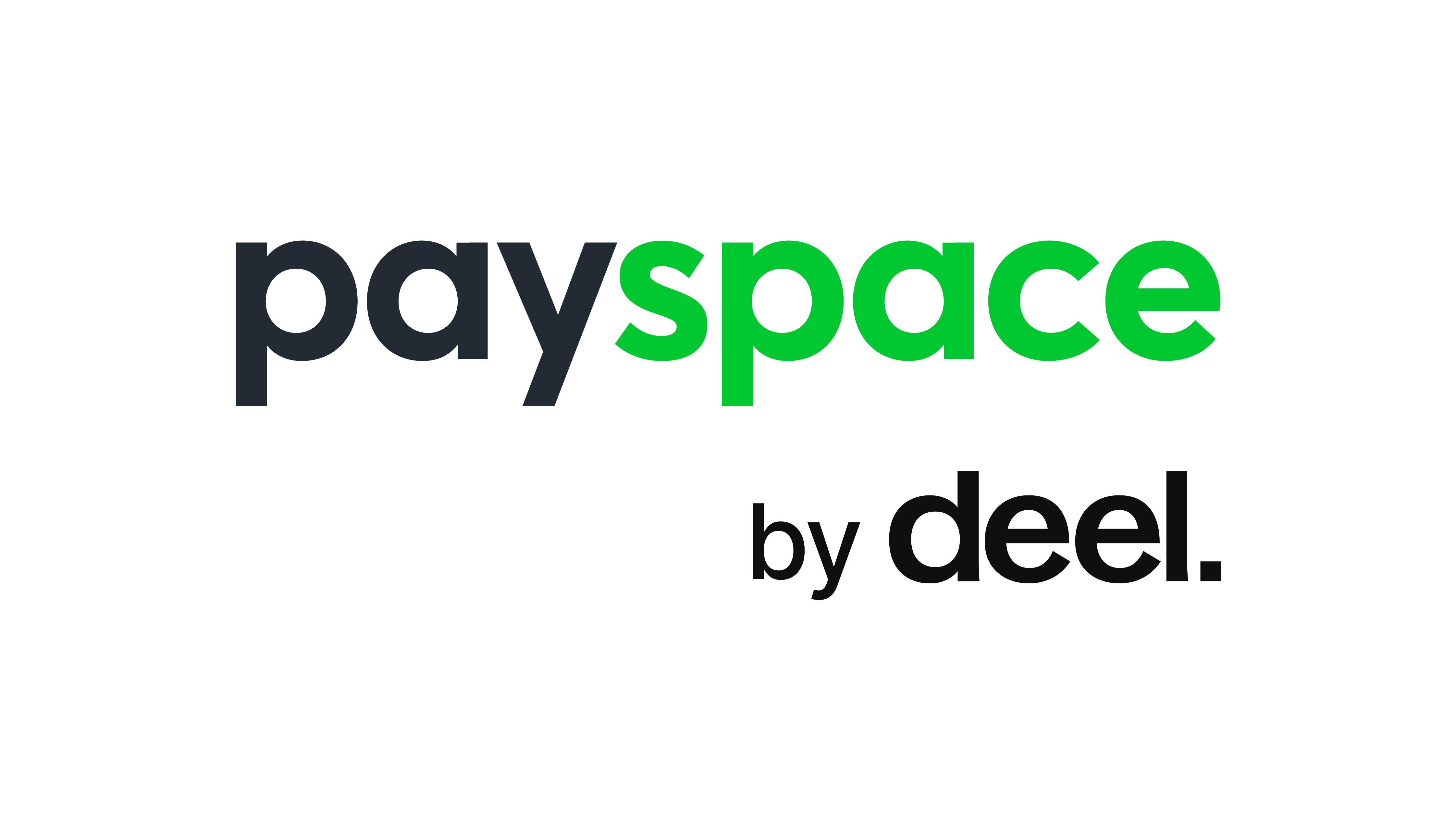 PaySpace by deel_RGB